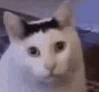 Huh!